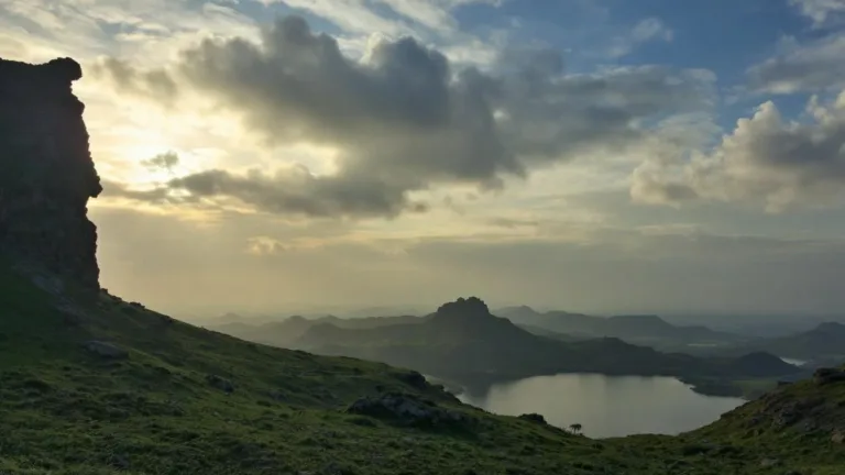 Una nonna rivela il trucco infallibile contro le cimici del letto